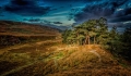Ilkley Moor 4