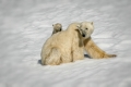 Mothers-Love-2