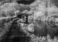 02-Bridge-25-Macclesfield-Canal