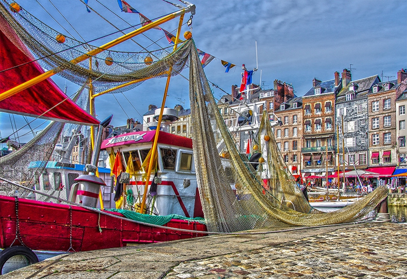 Drying nets by John Gauld - Best intermediate PDI, 1st PDI Compe