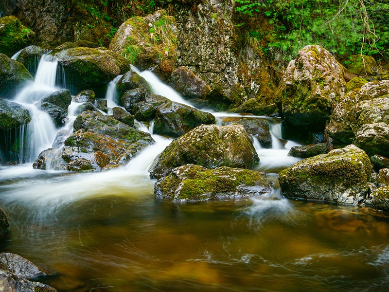 Ladore Falls by Michael Lown - Best intermediate print, 3rd Prin