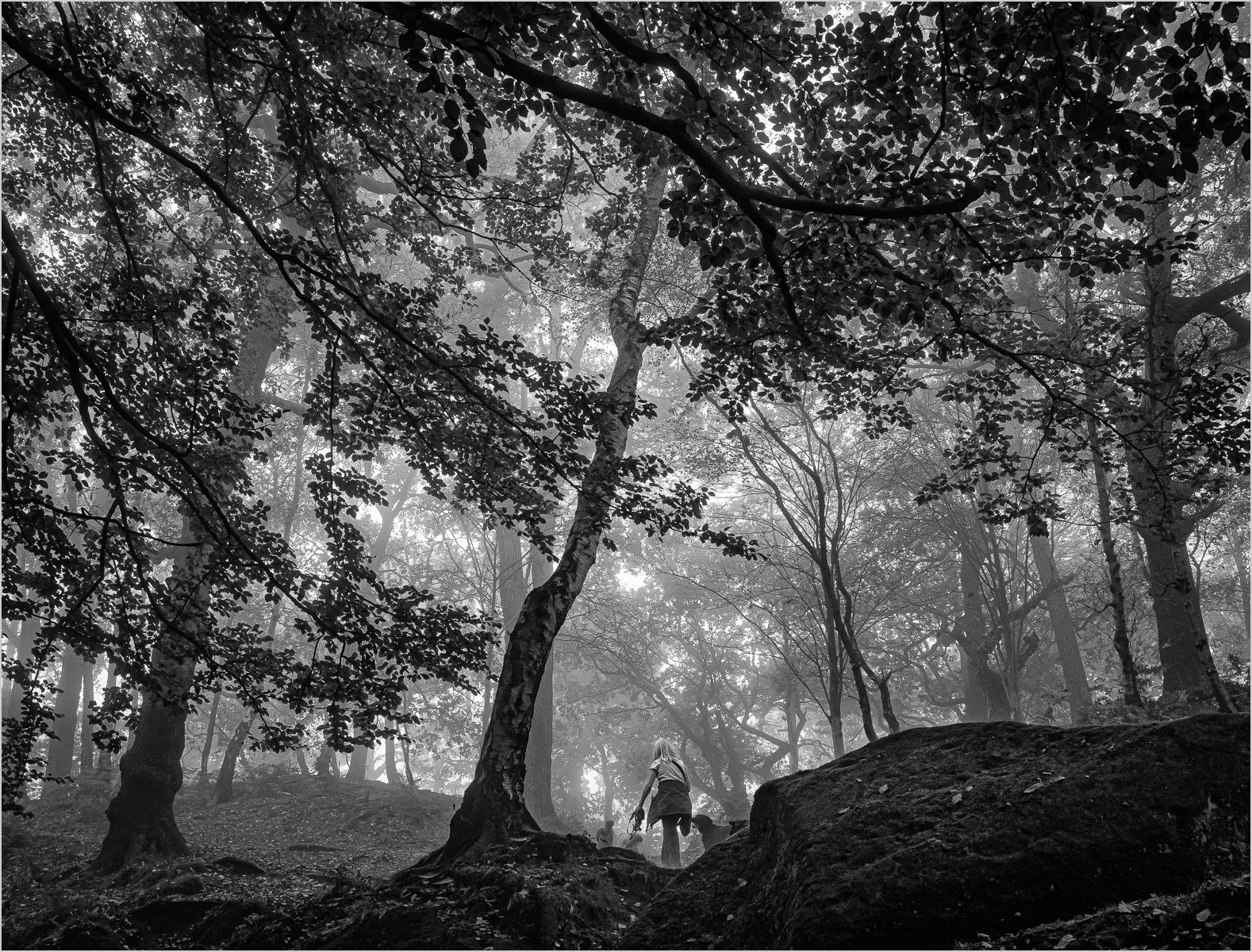 40_Alderley edge Dog Walker