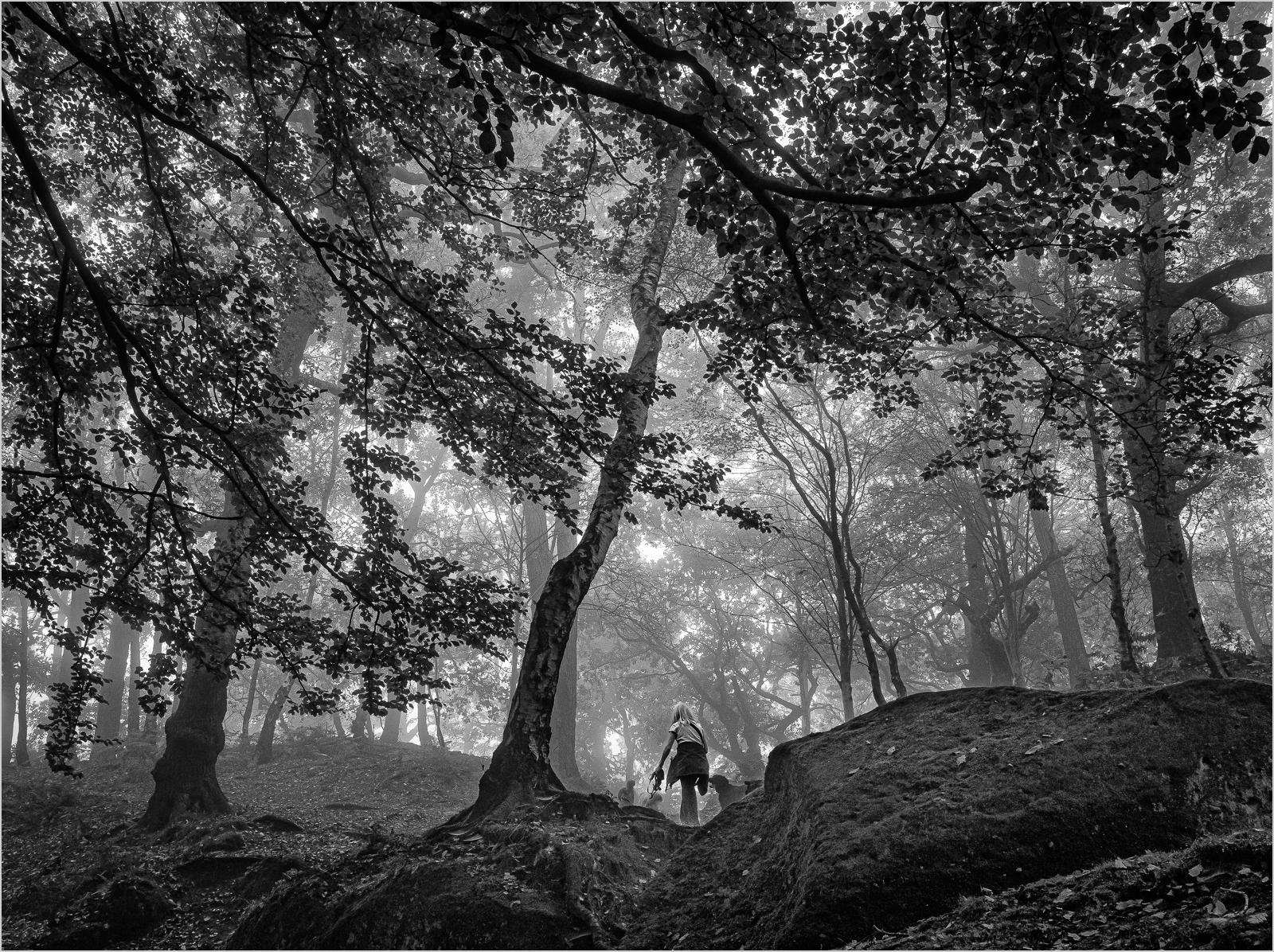 Martin Pickles_Misty Alderley Edge