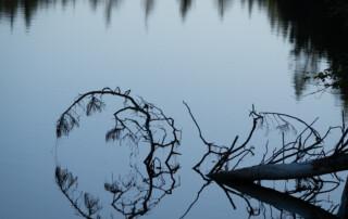 Noel Patterson_Circular Reflections