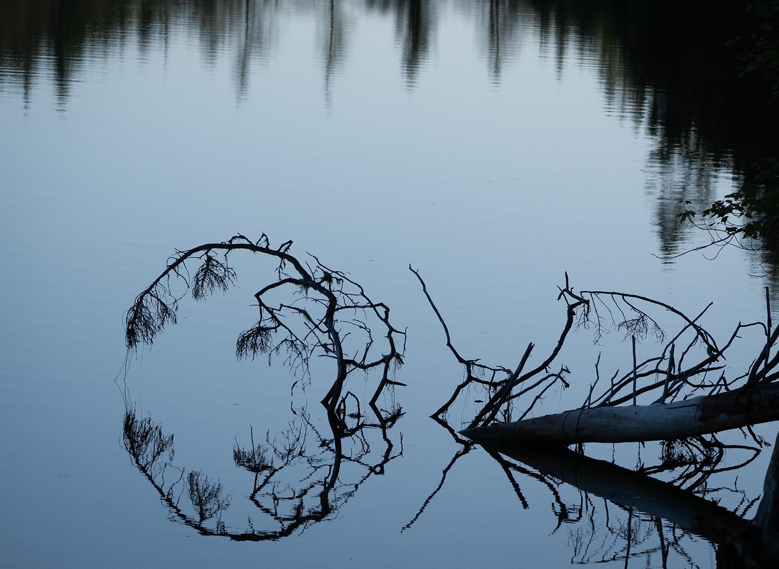 Noel Patterson_Circular Reflections
